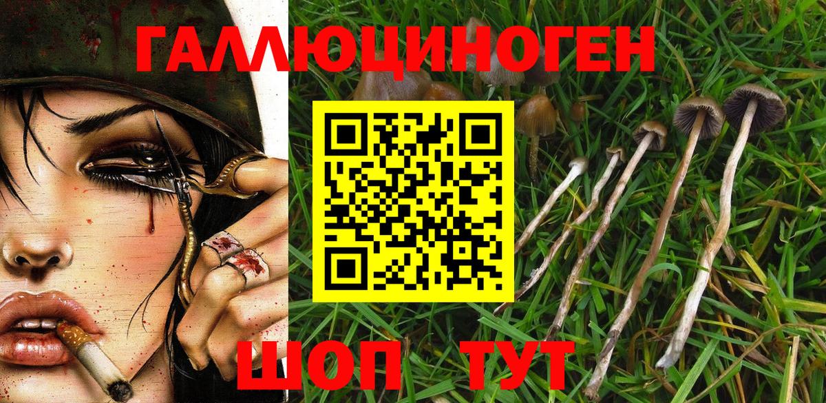 наркошоп  Галлюциногенные грибы Psilocybine cubensis  Вход с VPN  Магнитогорск 